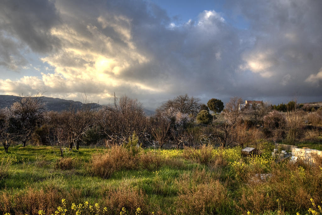 Lania Royal Oak House By Trulycyprus Villa Exterior photo